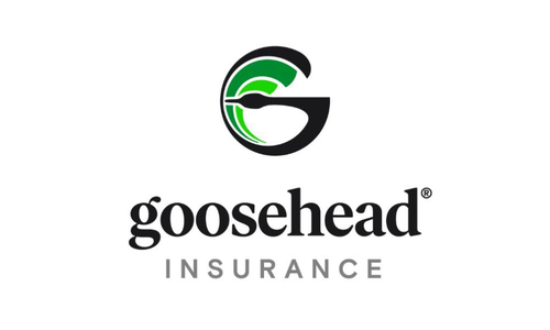 Goosehead Insurance